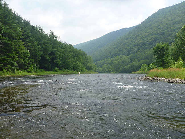 Pine Creek senic1.JPG